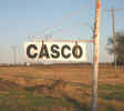 Casco2010.jpg (23658 bytes)